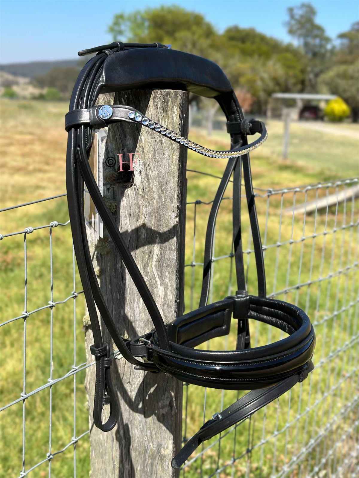 Finesse Cayenne Special Package: Small Crystal Browband and Black Patent Noseband