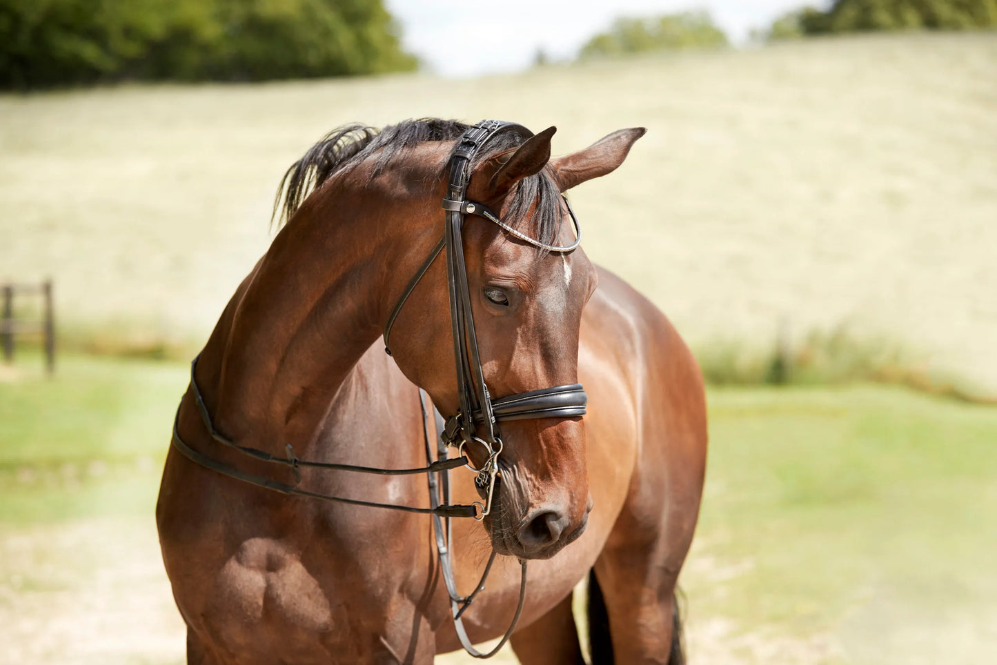 Finesse Double Bridle | Black Leather with Silver Clincher Browband FLAT Leather Cayenne
