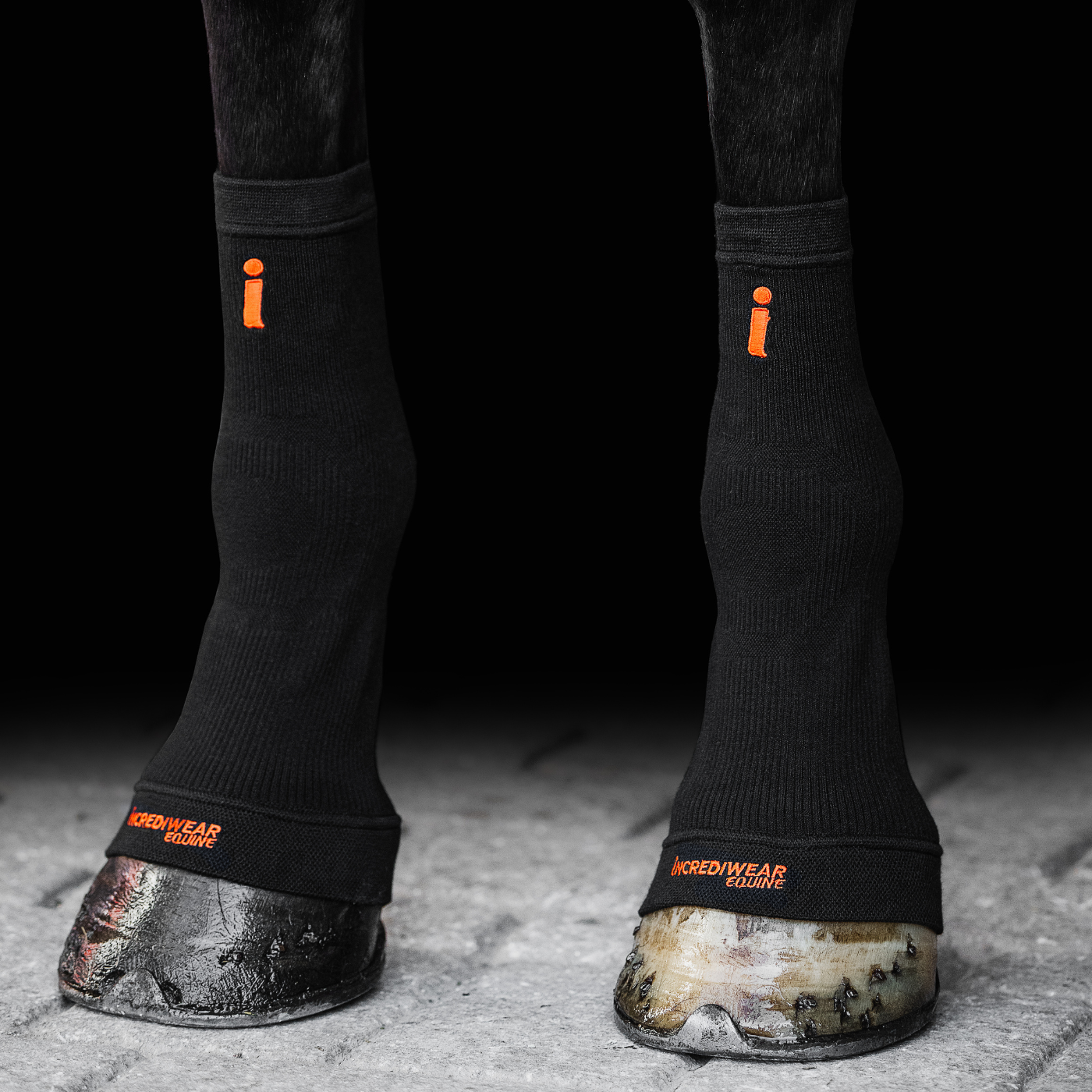 Incrediwear Equine Circulation Hoof Socks - BLACK