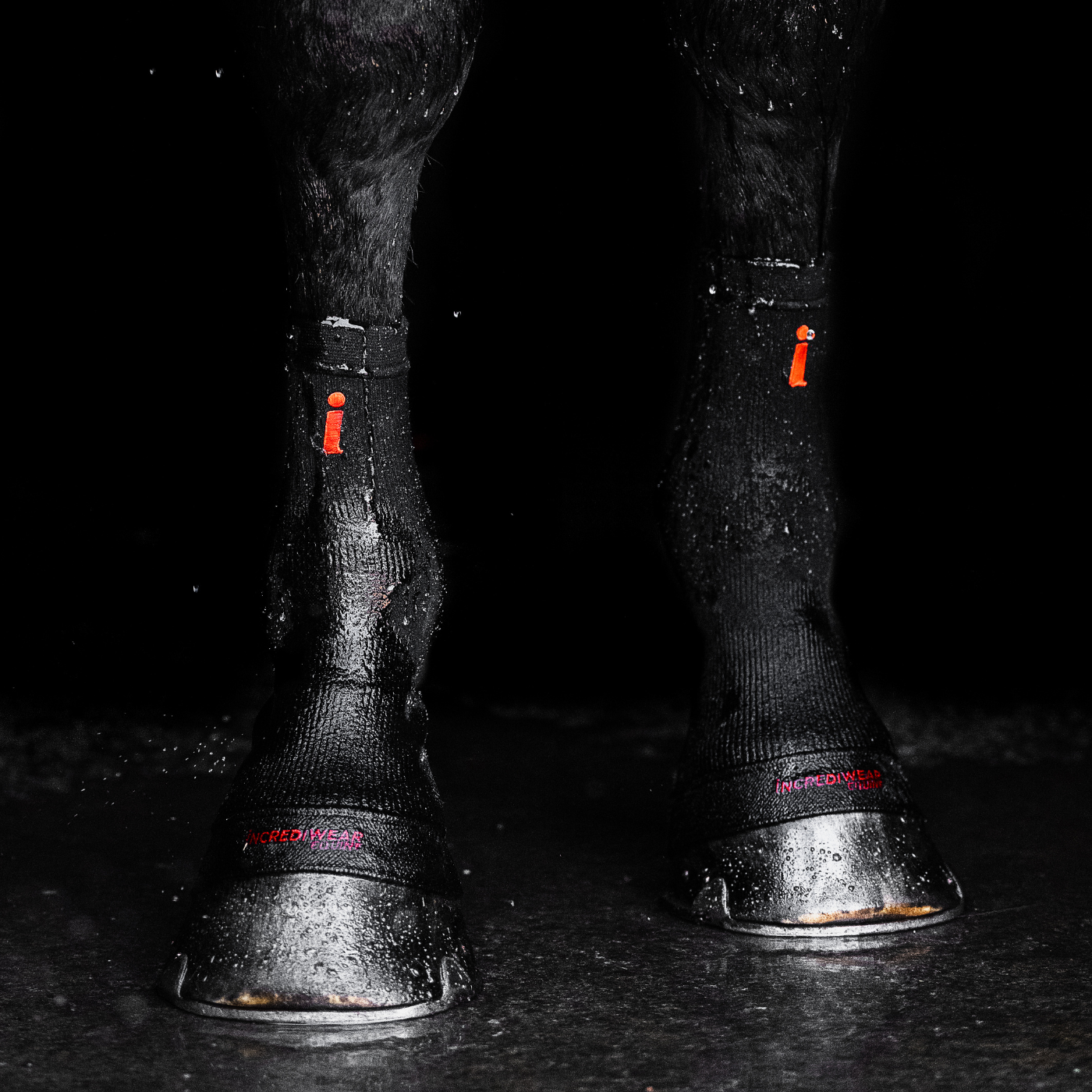 Incrediwear Equine Circulation Hoof Socks - BLACK