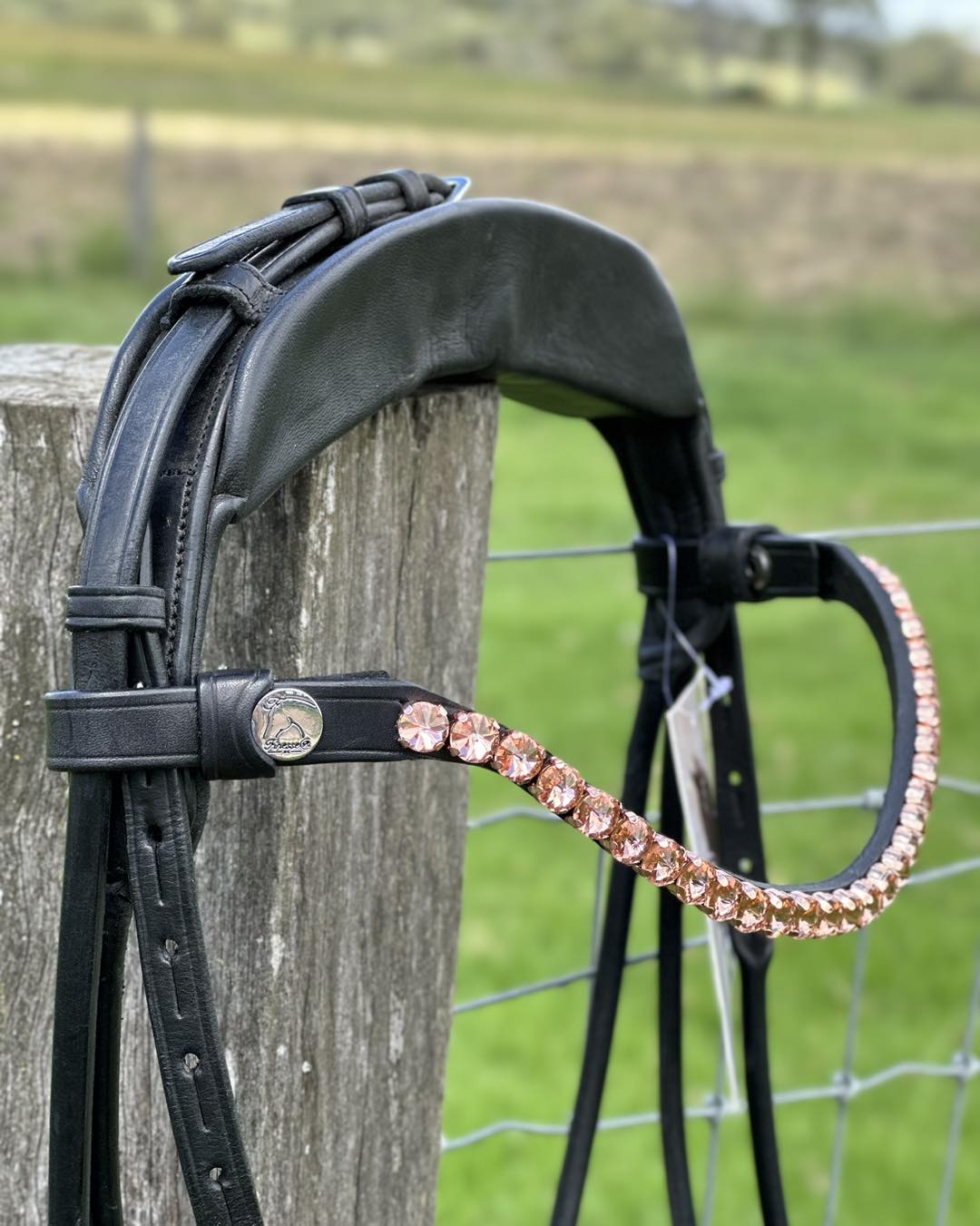 Finesse Outlet: Cob Size Cassidy Snaffle ROSE GOLD Set