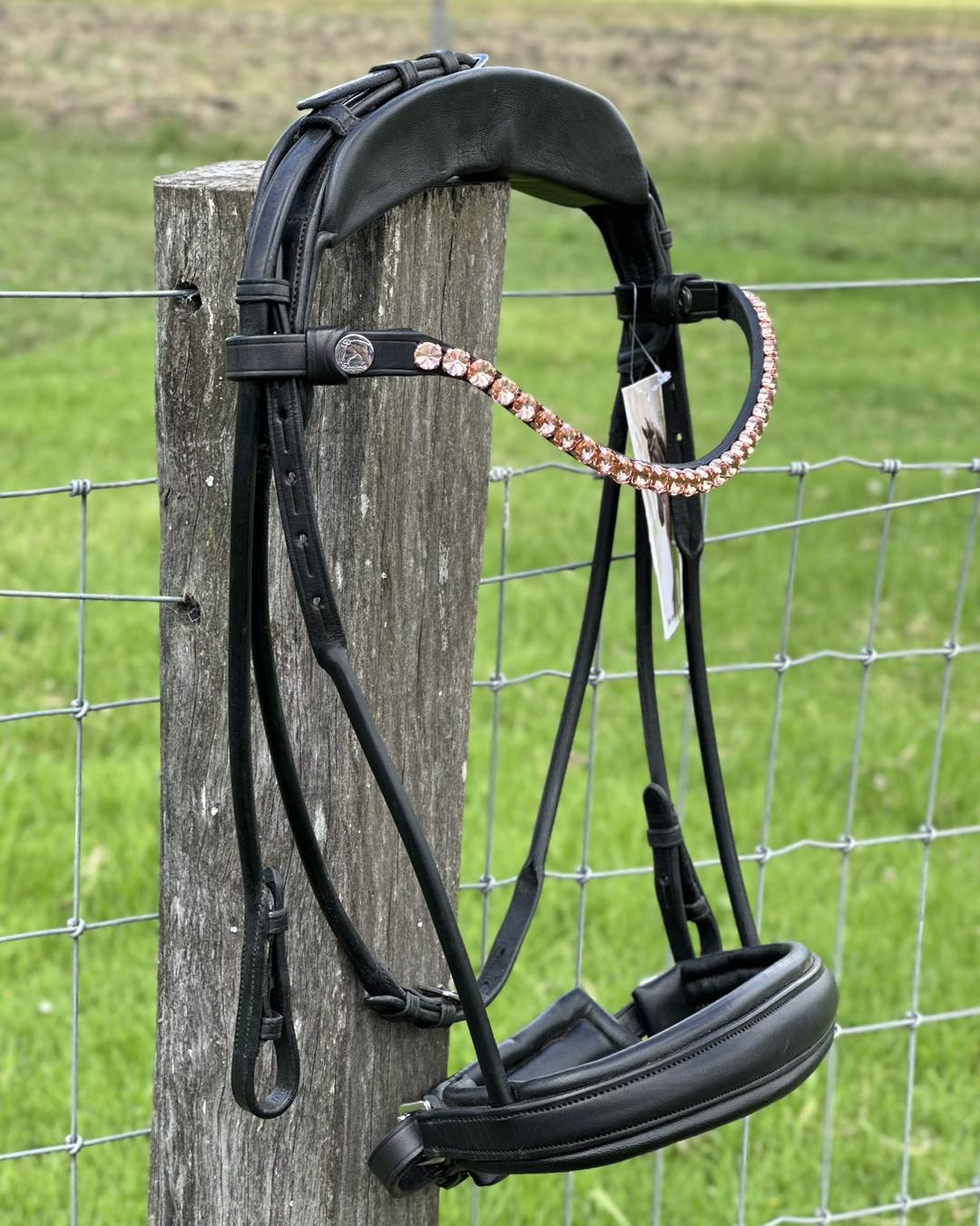 Finesse Outlet: Full Cassidy Snaffle Matte Black - No Flash - Rose Gold