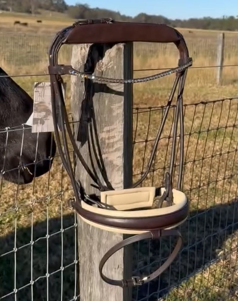 Finesse Outlet: Full Size Brown with Creme Padding Cassidy Snaffle Bridle