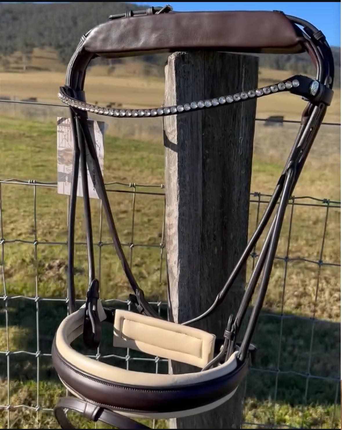 Finesse Outlet: Full Size Brown with Creme Padding Cassidy Snaffle Bridle