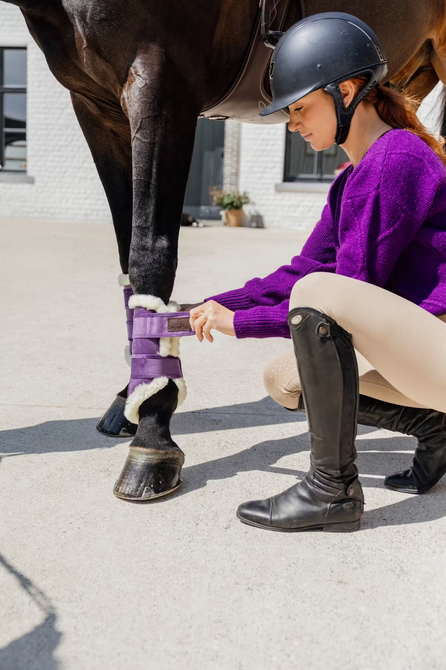 Kentucky Brushing Boots: Velvet Contrast Royal Purple SET of FOUR