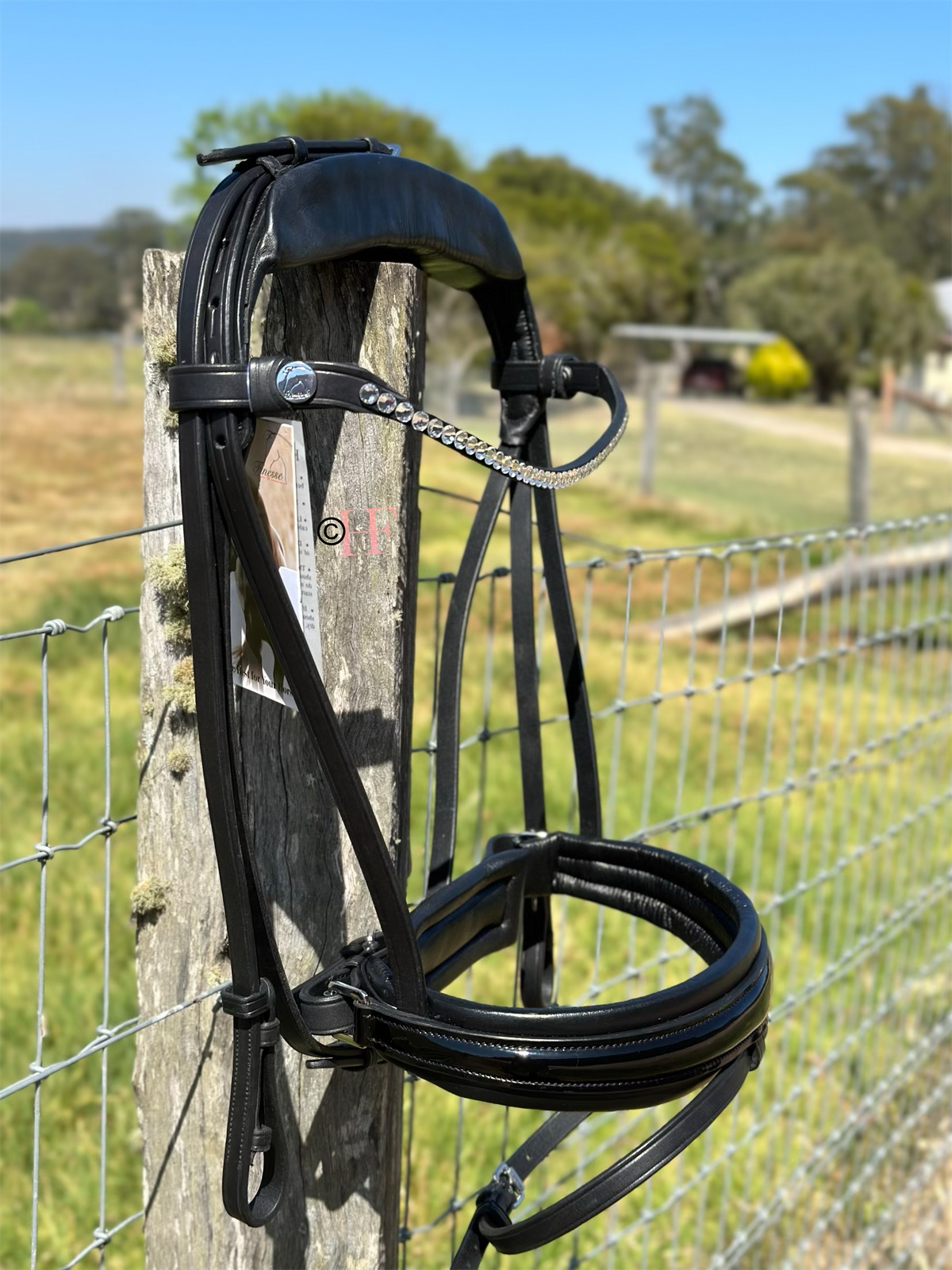 Finesse Cayenne Special Package: Small Crystal Browband and Black Patent Noseband
