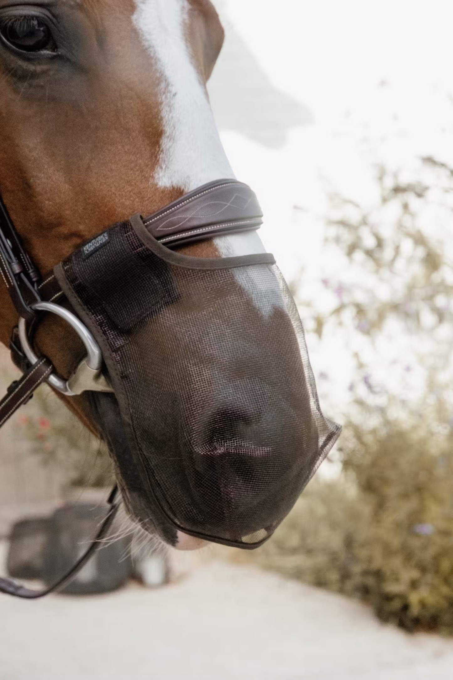 Kentucky Anti Fly Nose Net