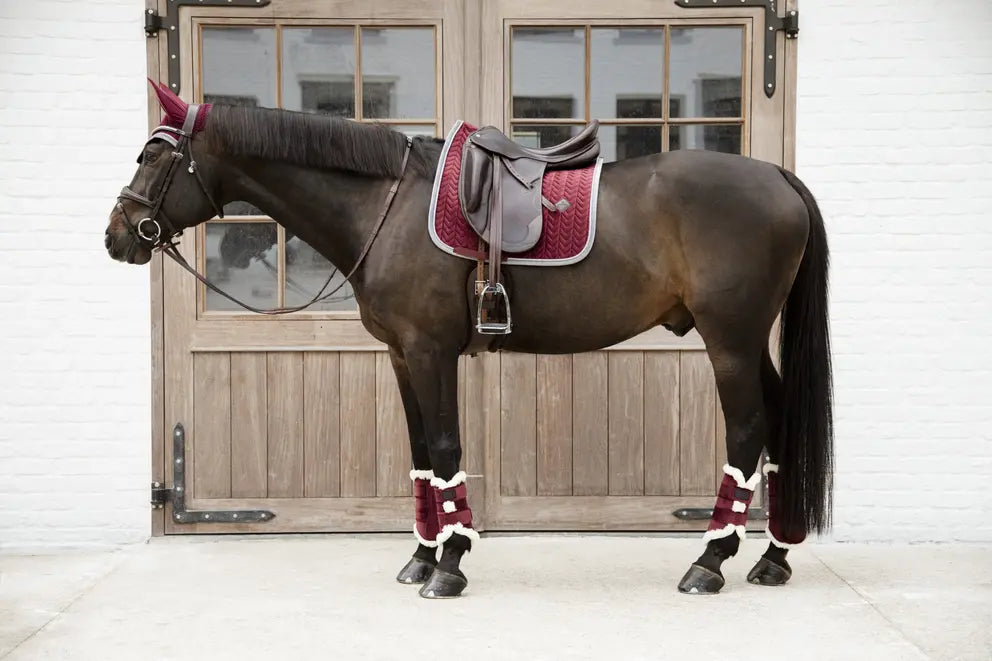 Kentucky Velvet Contrast Full Dressage Saddle Pad + Boots (4) Set