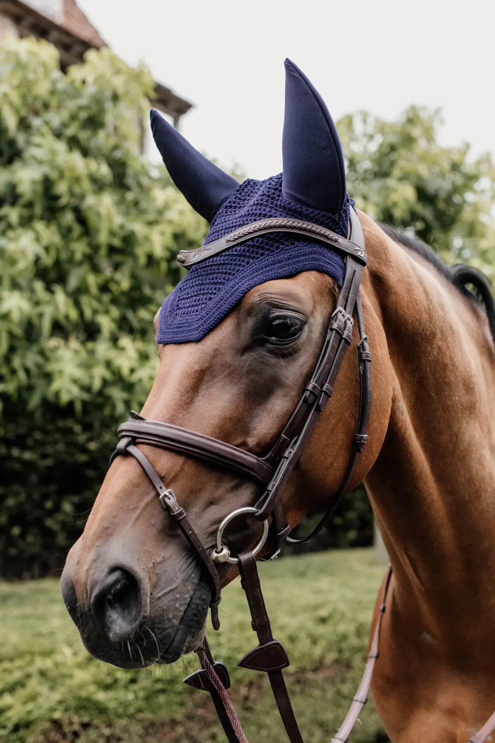 Kentucky Fly Veil Wellington Basic