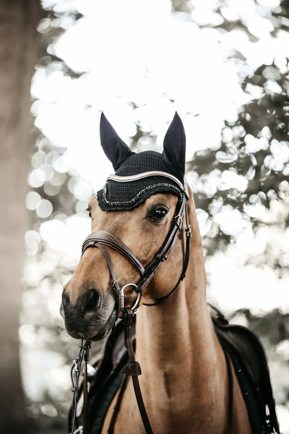 Kentucky Fly Veil Wellington Stone and Pearl | Regular or Soundless