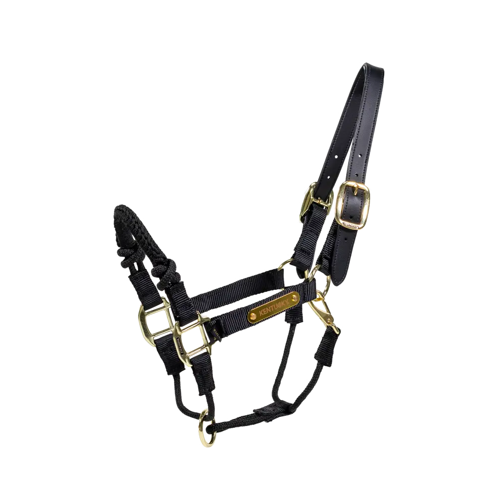 Kentucky Training / Control Halter Black