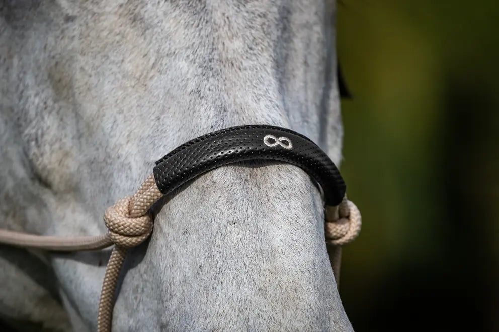 Dy'on La Cense Rope Training Halter