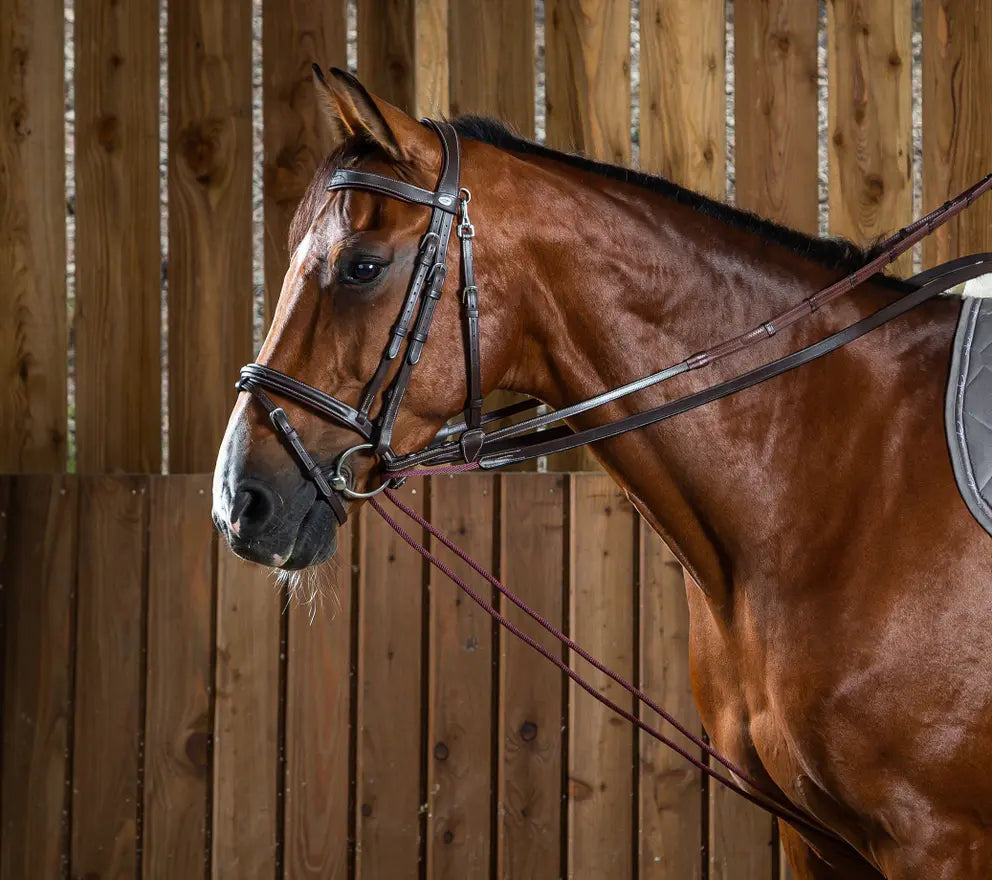 Dy'on Working Collection Leather/Rope Draw Reins