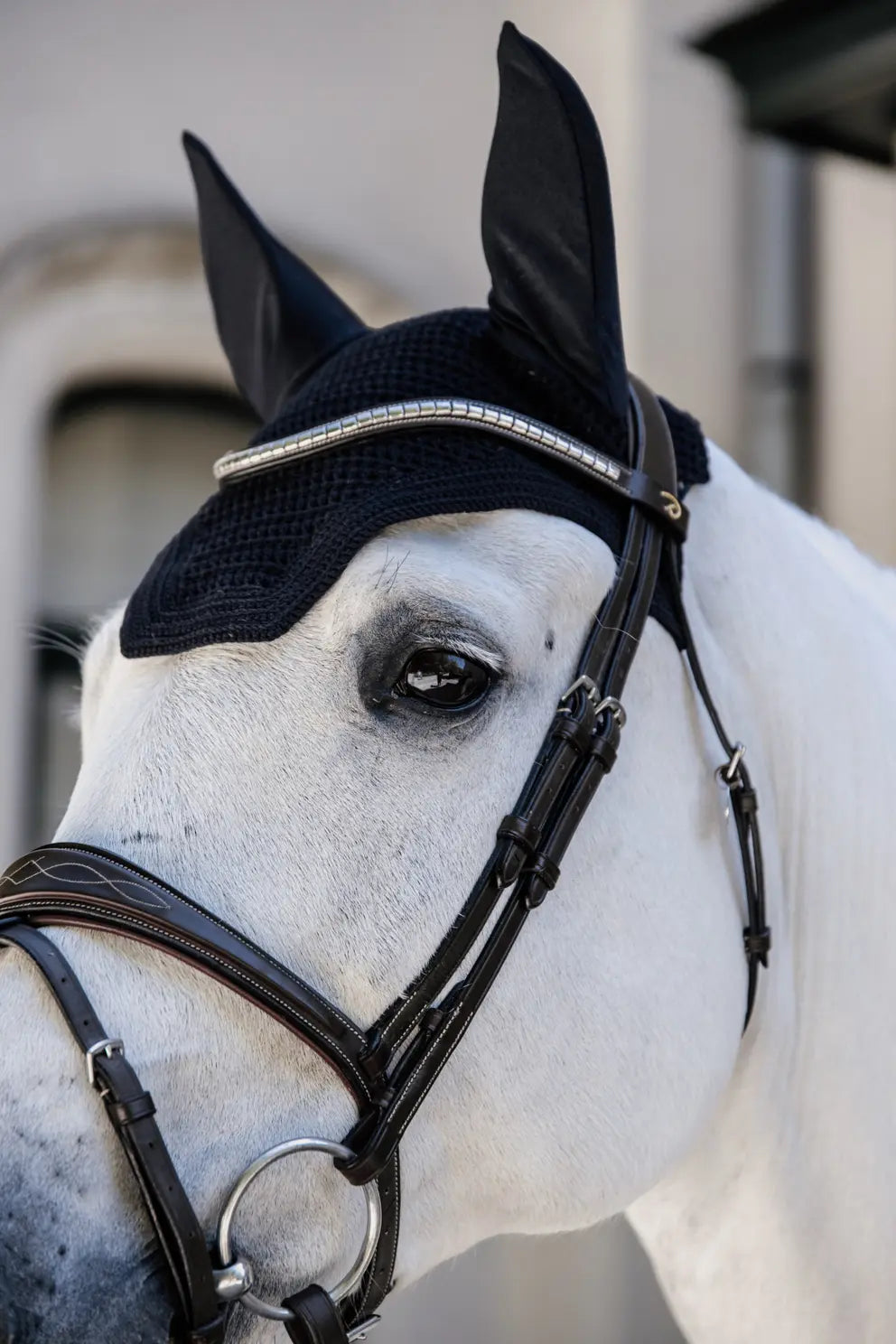 Kentucky Fly Veil Wellington Basic