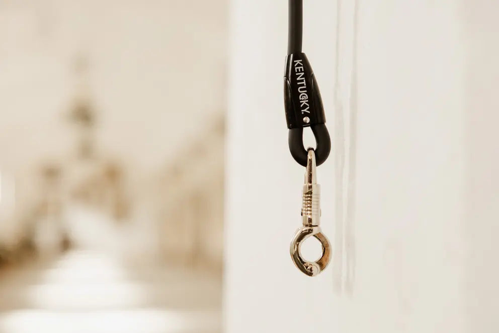 Kentucky Cross Tie, Stable, or Float Ties Leads Silicon - EACH