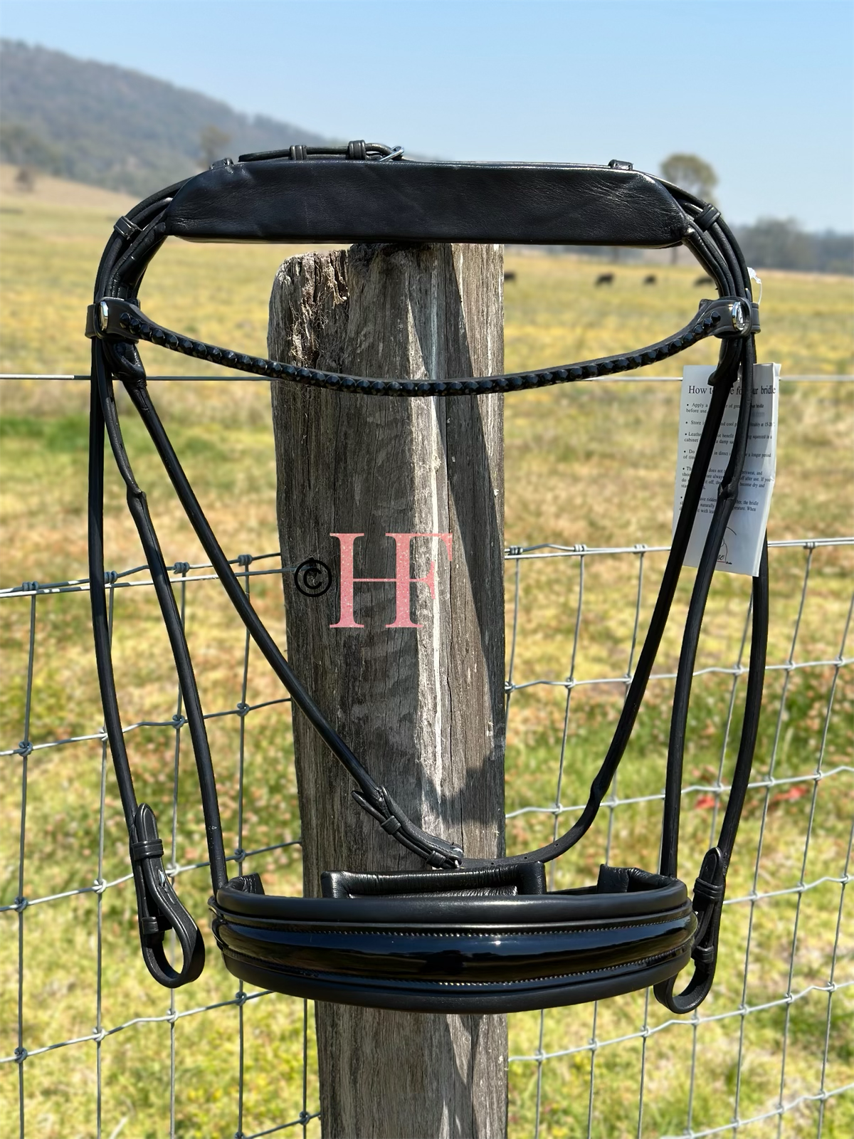 Finesse Special Bridle Package: Cassidy Full Size Black Crystal No Flash