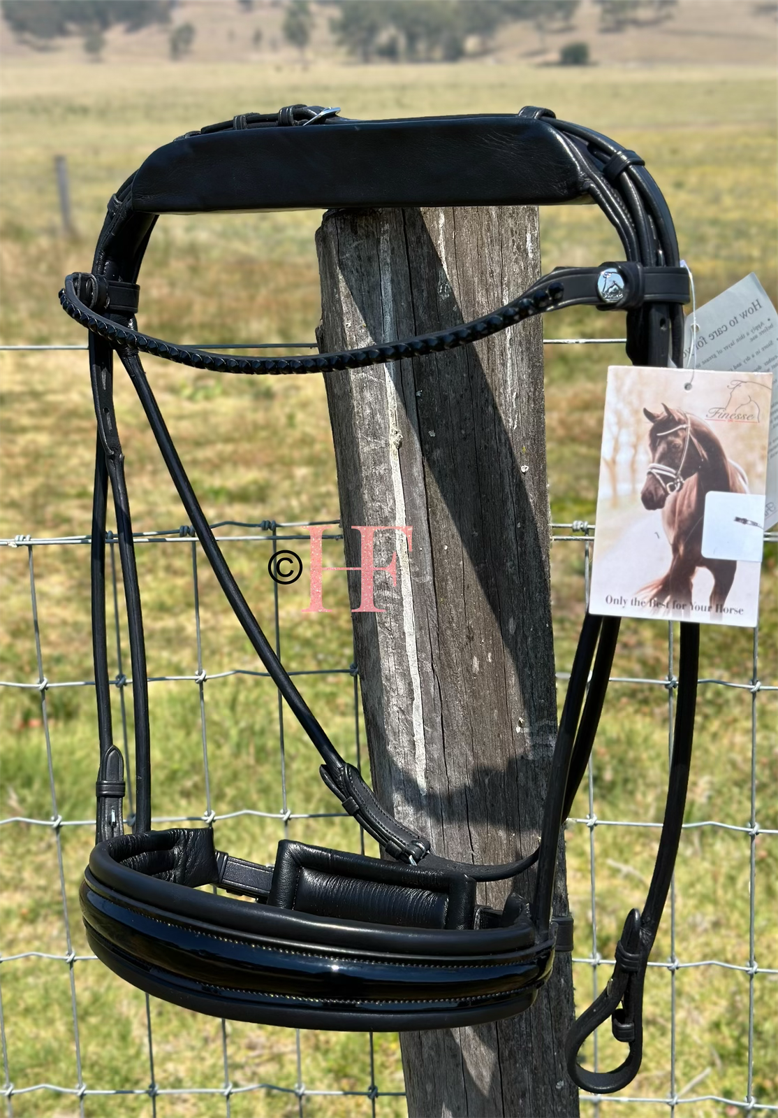 Finesse Special Bridle Package: Cassidy Full Size Black Crystal No Flash