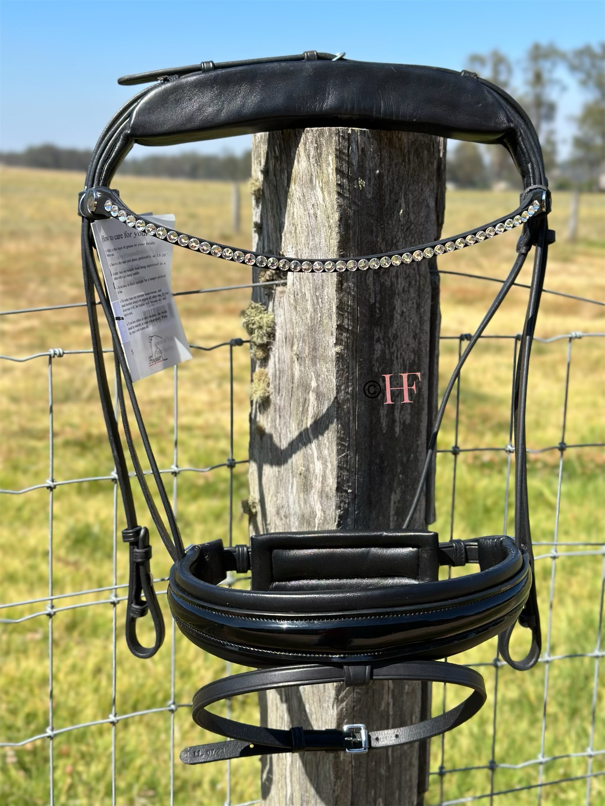 Finesse Cayenne Special Package: Small Crystal Browband and Black Patent Noseband