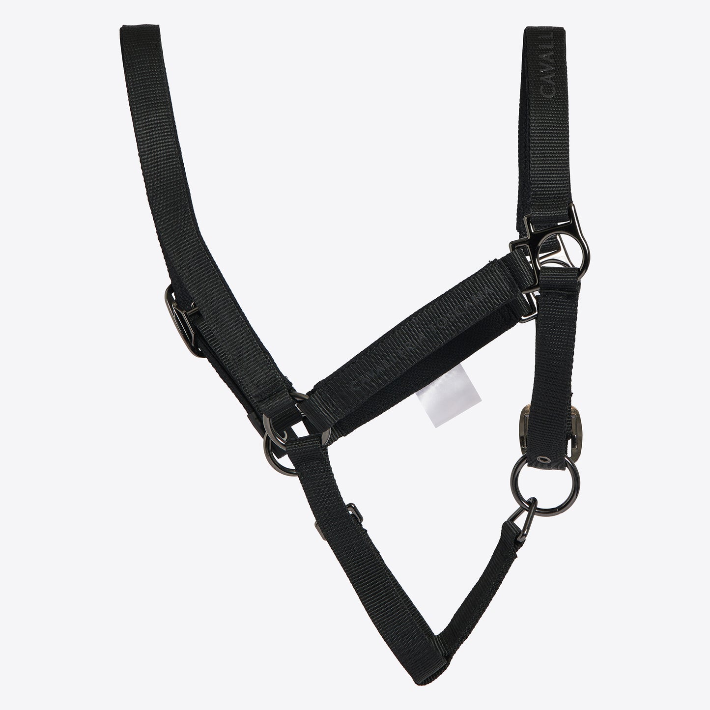 Cavalleria Toscana FW25 CT Halter + Lead | Black