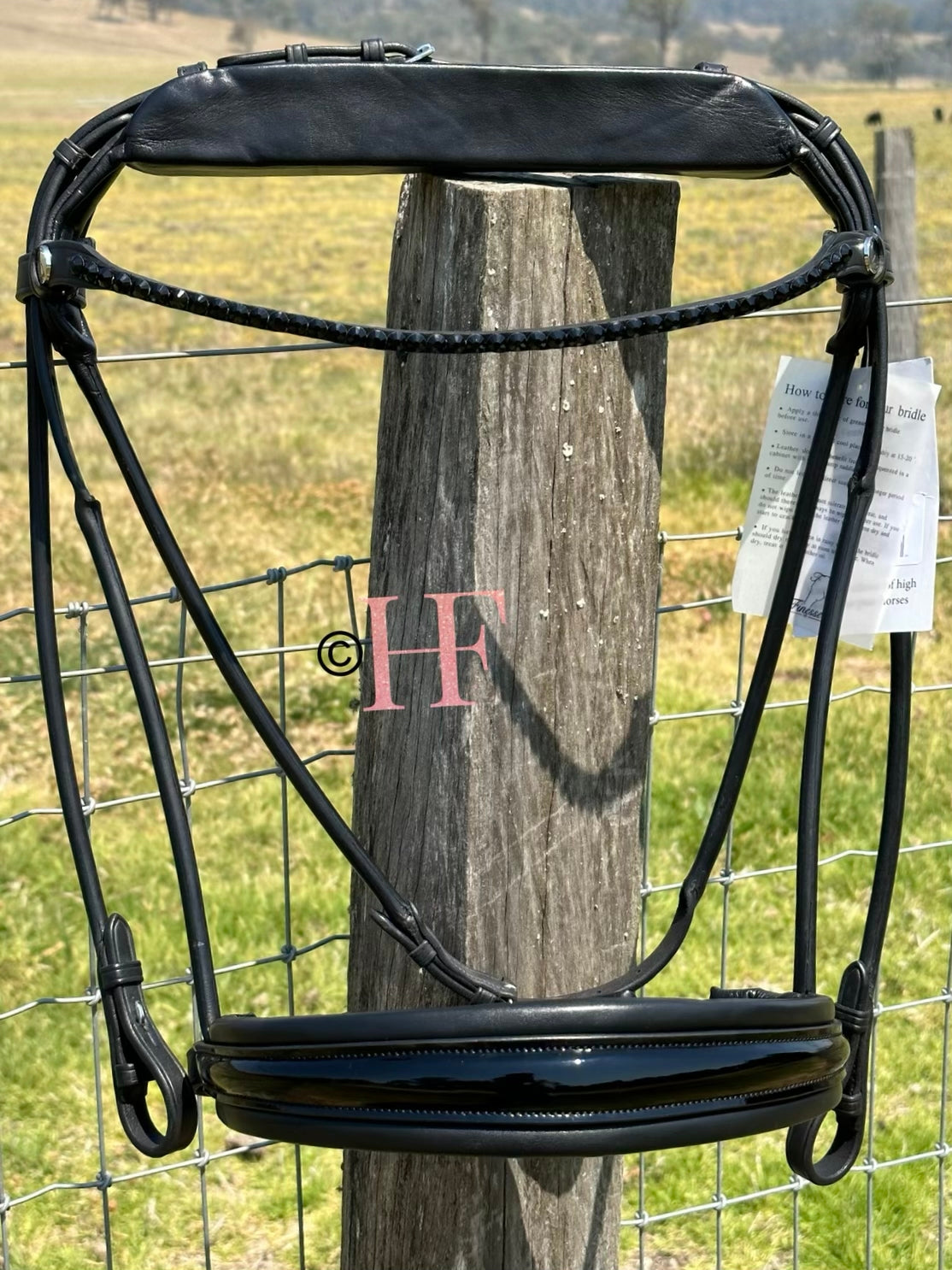 Finesse Special Bridle Package: Cassidy Full Size Black Crystal No Flash