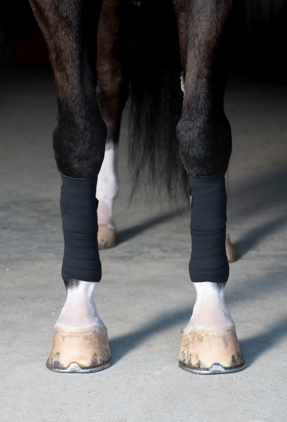 Incrediwear Equine Circulation Exercise Bandages BLACK