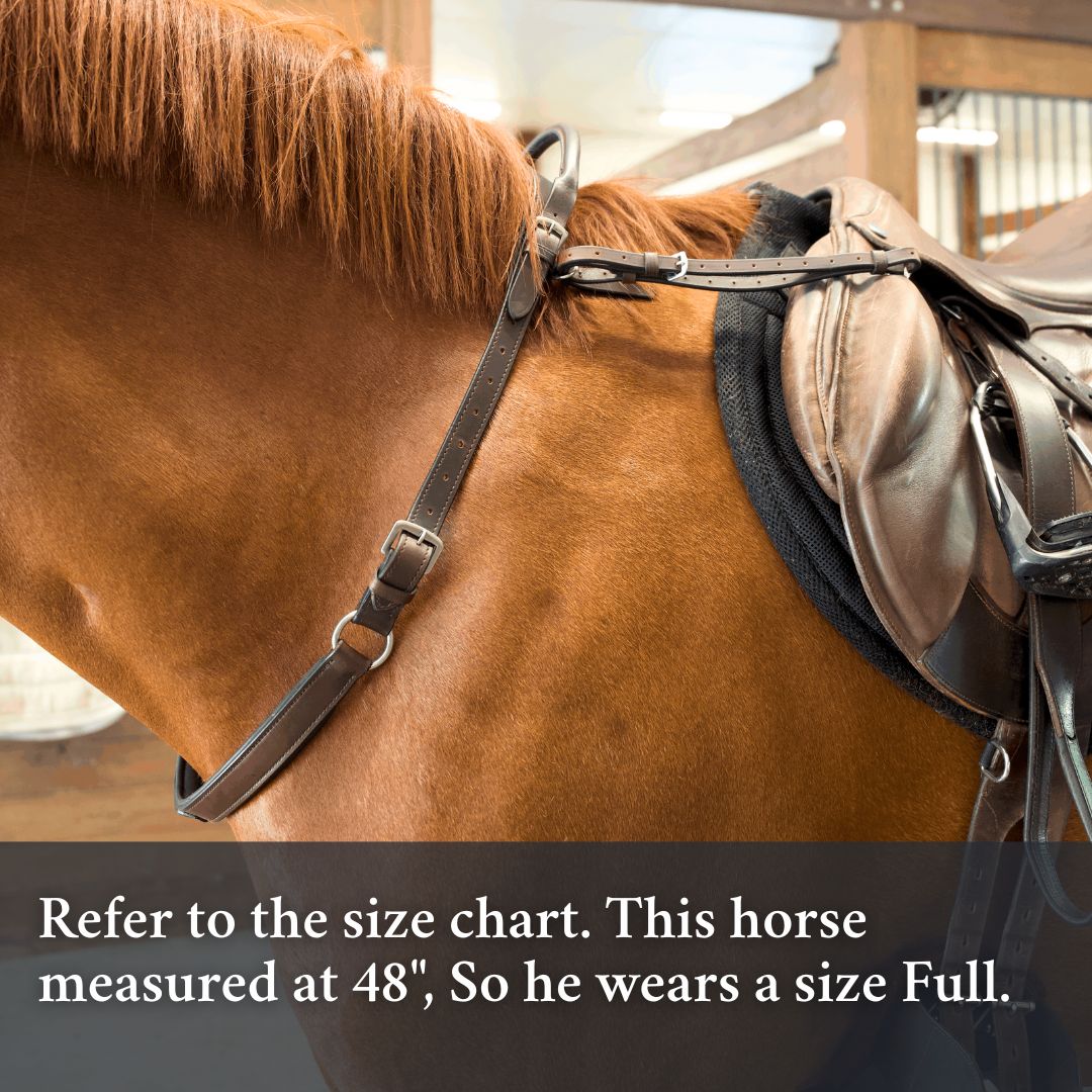 Correct Connect Double Neck Strap