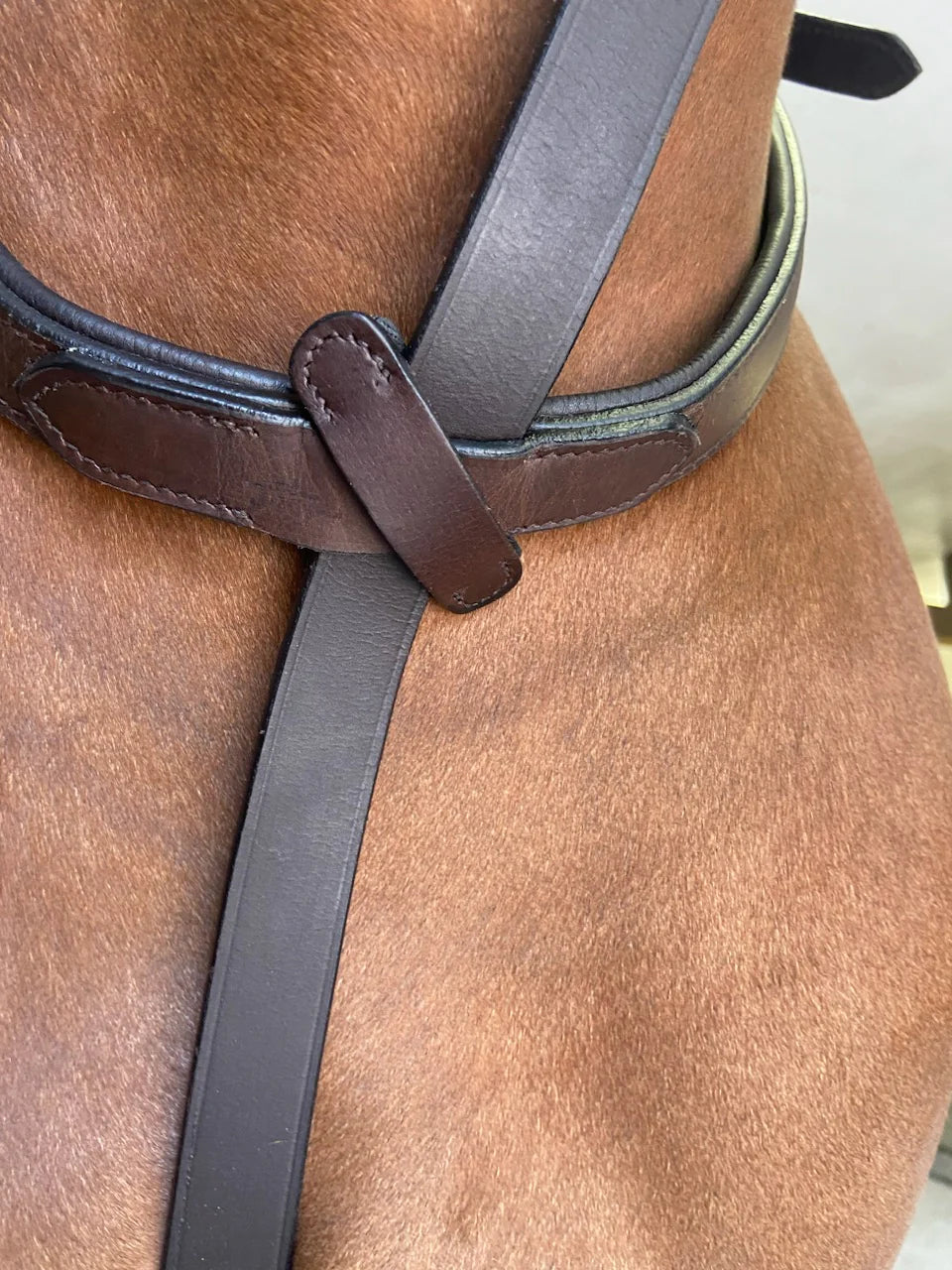 Correct Connect Running Martingale Attachment for Neck Strap