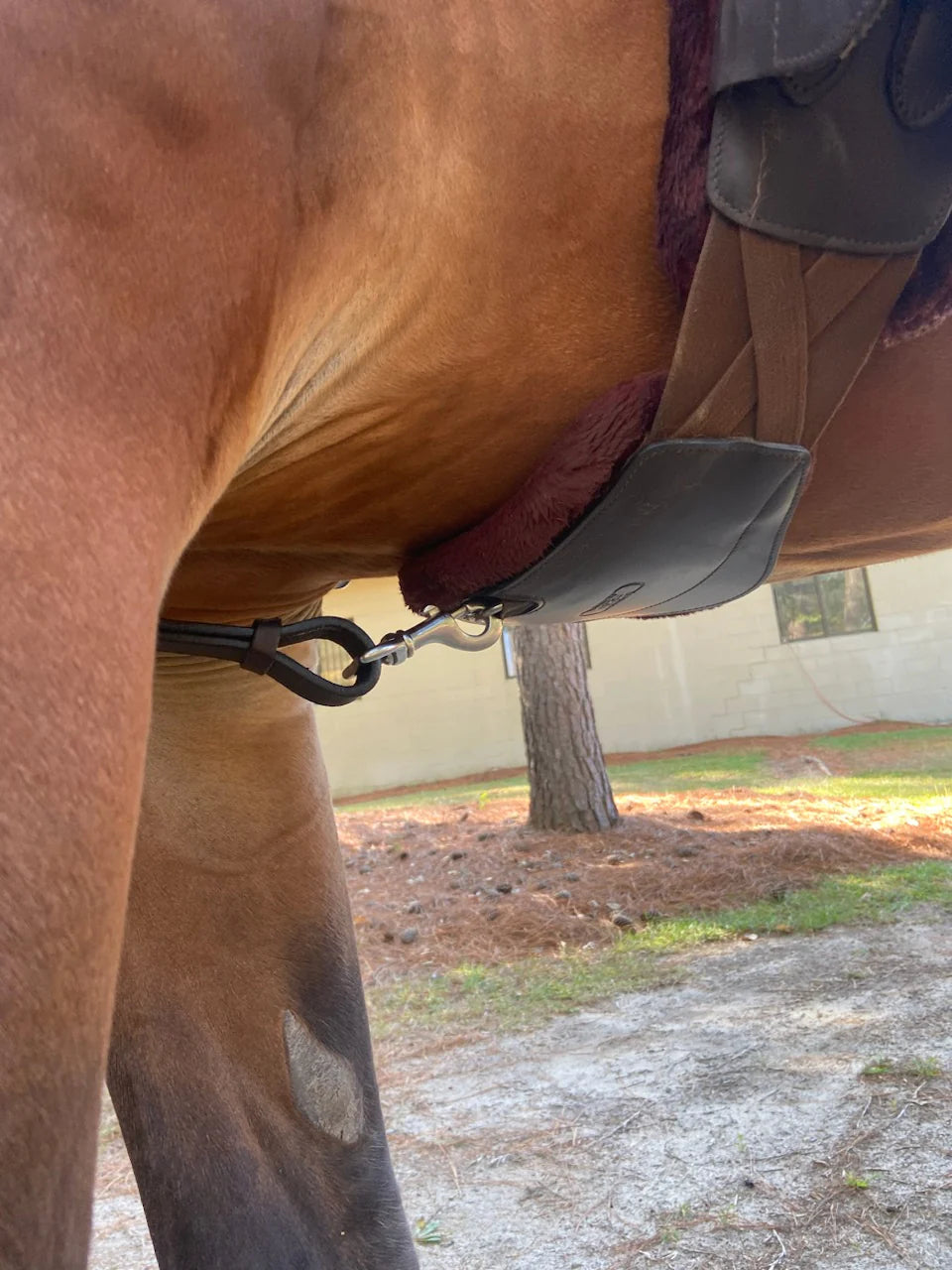 Correct Connect Running Martingale Attachment for Neck Strap