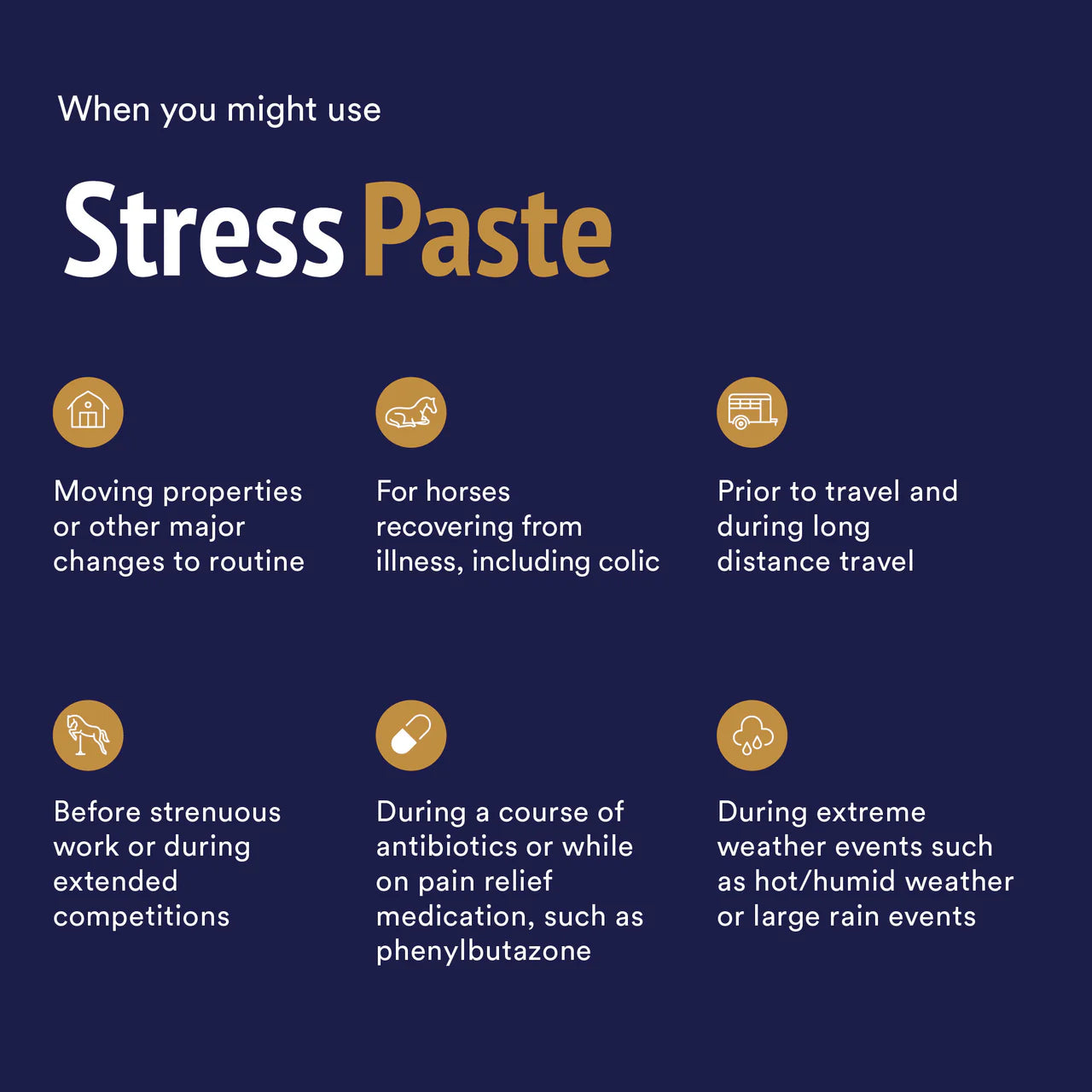Posiedon Equine Stress Paste for Horses 60ml Tube