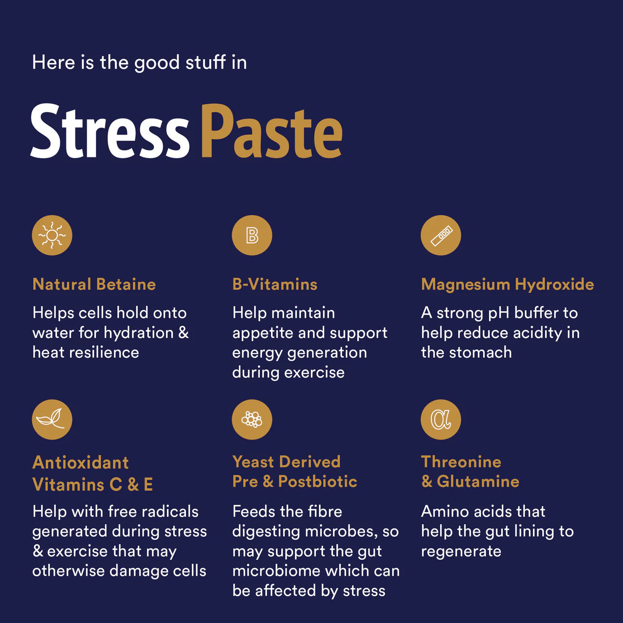 Posiedon Equine Stress Paste for Horses 60ml Tube