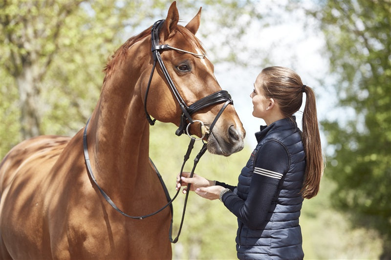 Finesse Snaffle Bridle Cassidy V2.0 | Rolled Black Leather with Silver Clincher Browband