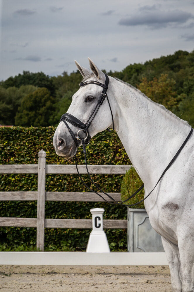 Dy'on Dressage Collection Rolled Leather Snaffle Bridle with Large Noseband