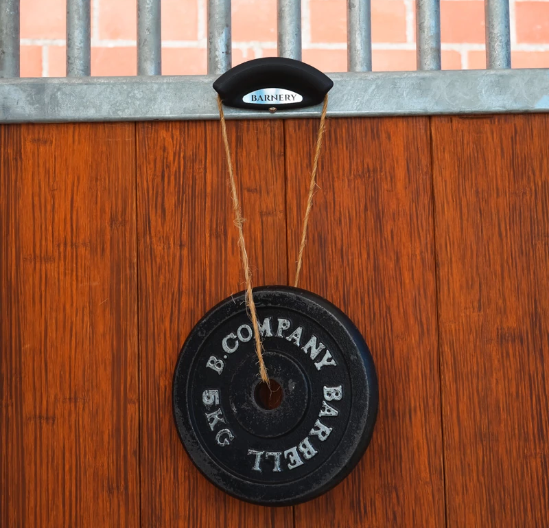 Barnery Magnetic Bridle Holder