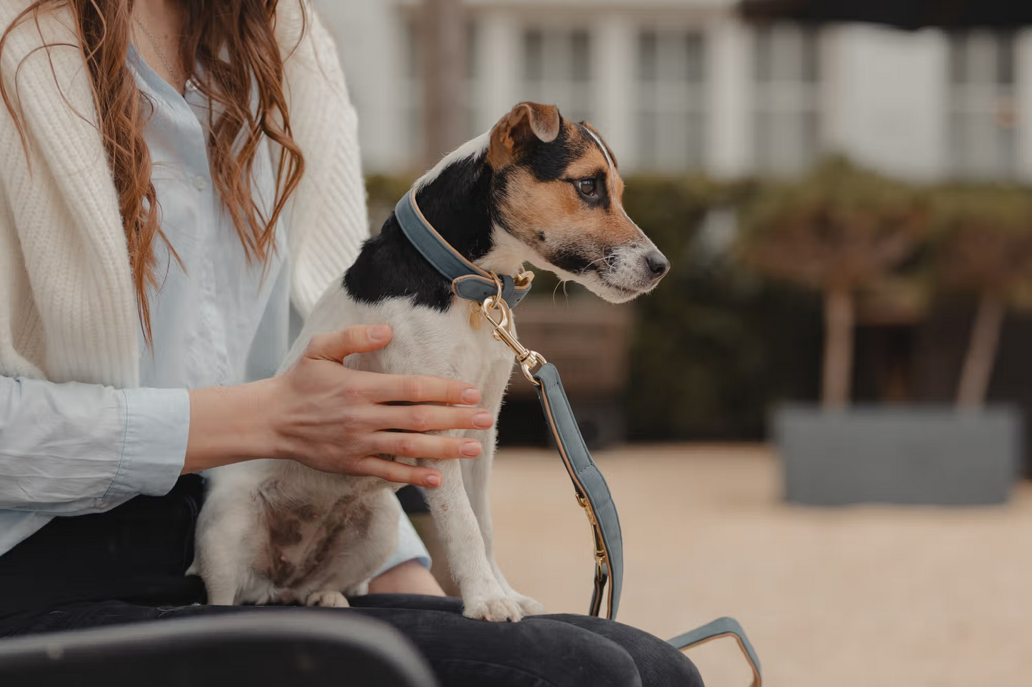 Kentucky Vegan Leather Dog Collar + Lead SET | Navy/Beige