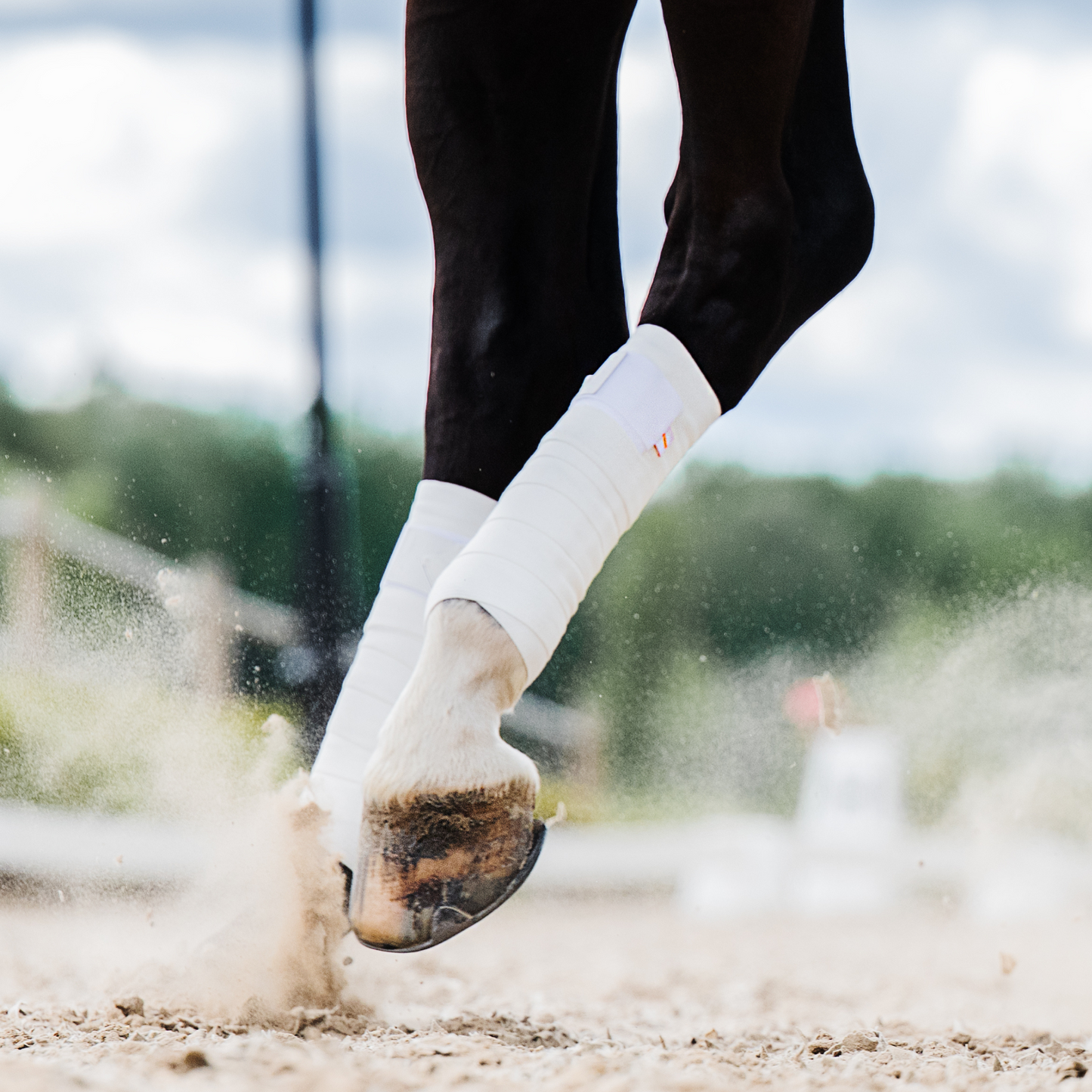 Incrediwear Equine Circulation Exercise Bandages | White | PREORDER