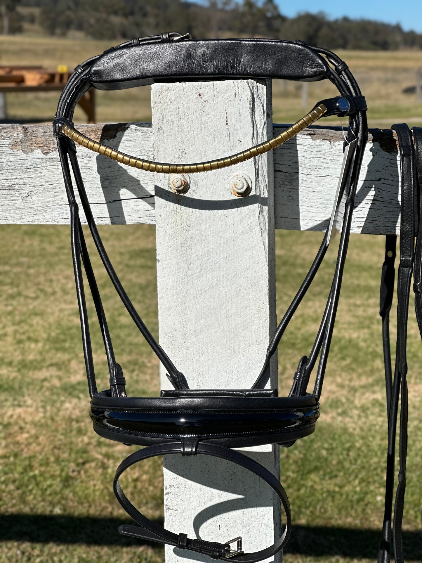 Finesse Outlet: Cassidy Bridle Special Package - Black and Gold COB