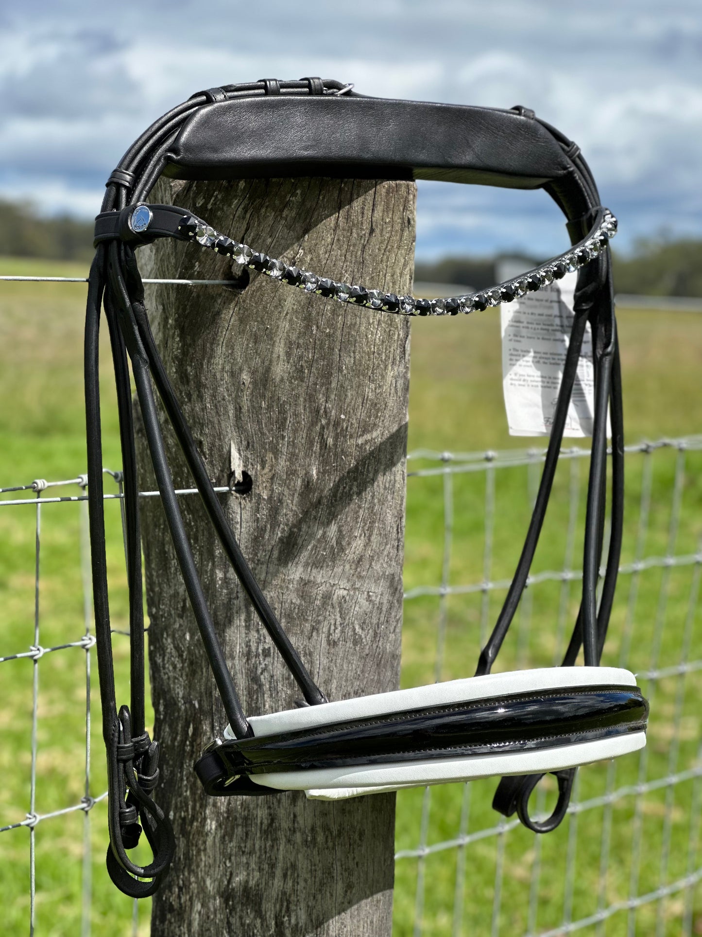 Finesse Double Bridle Special Package - Full Size