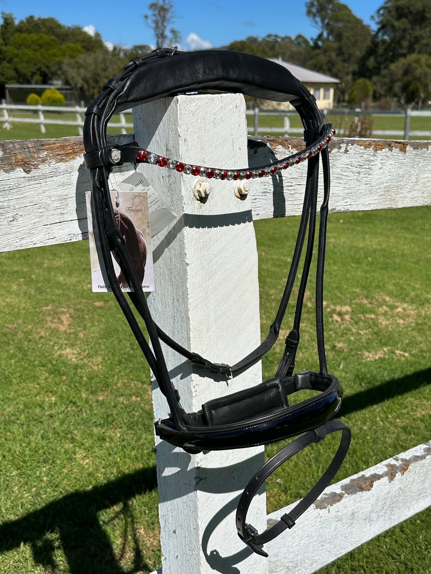 Finesse Snaffle Bridle Special Package - Himalaya