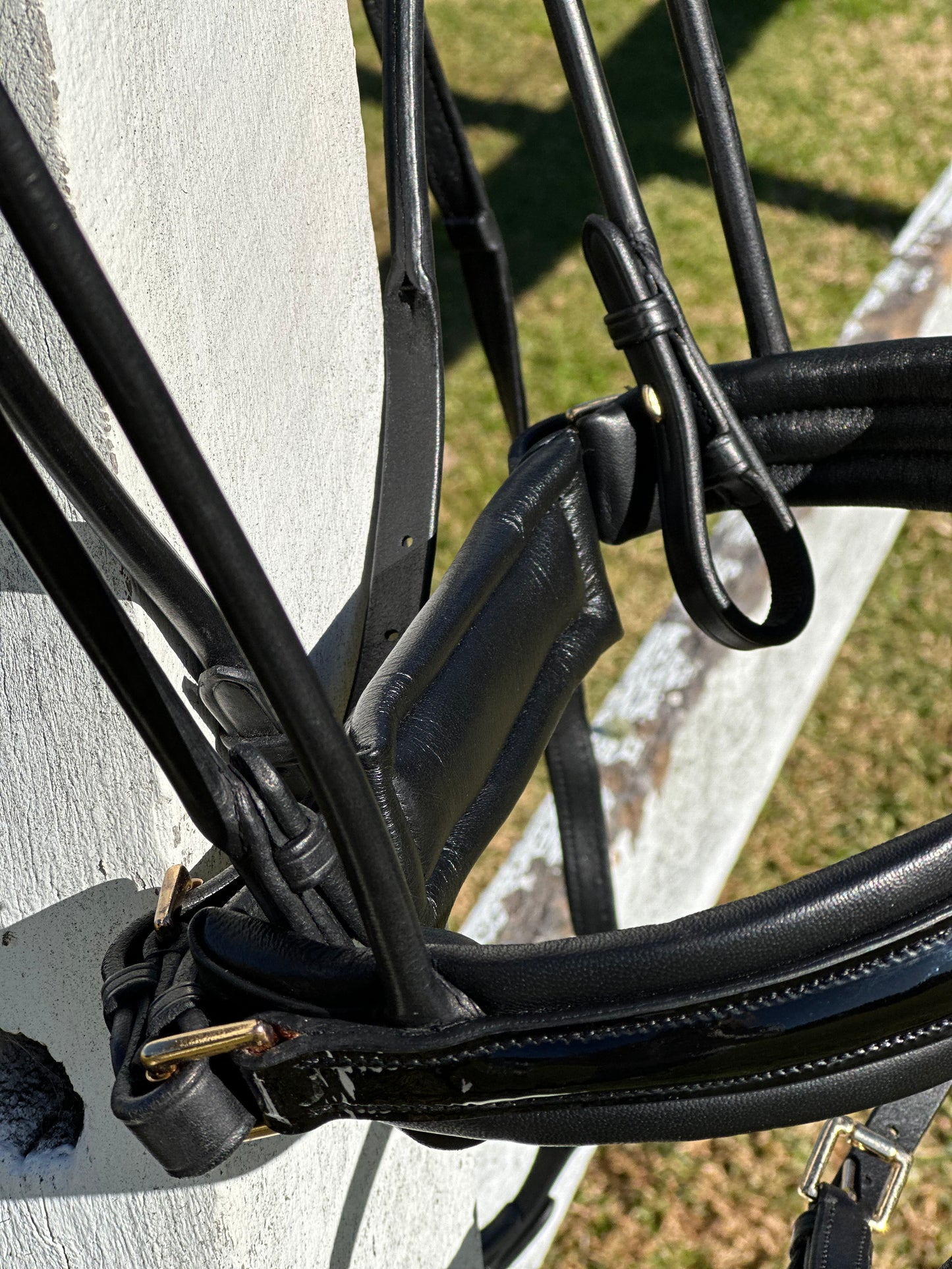 Finesse Outlet: Cassidy Bridle Special Package - Black and Gold COB
