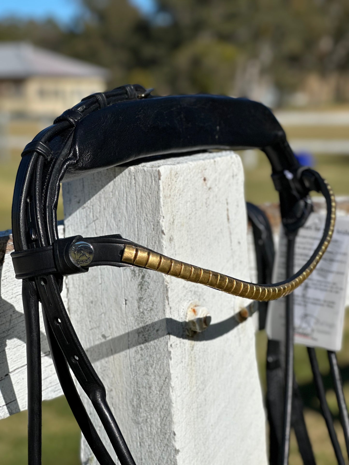 Finesse Outlet: Cassidy Bridle Special Package - Black and Gold COB