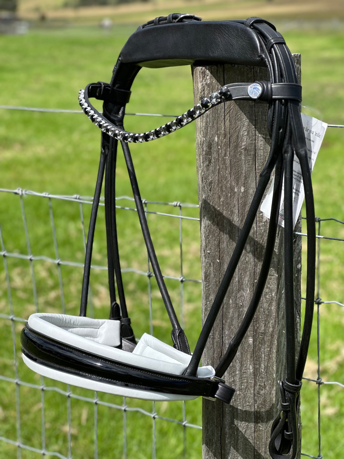 Finesse Double Bridle Special Package - Full Size