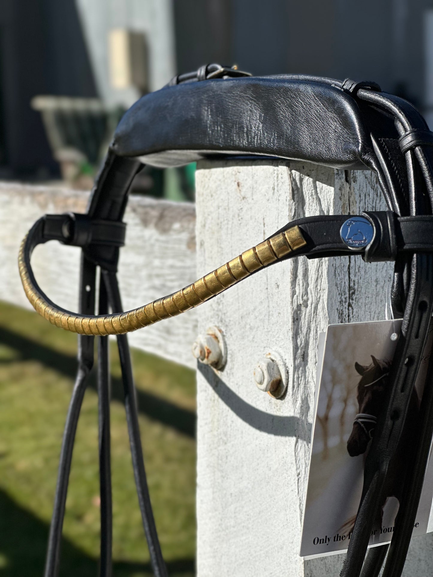 Finesse Outlet: Cassidy Bridle Special Package - Black and Gold COB