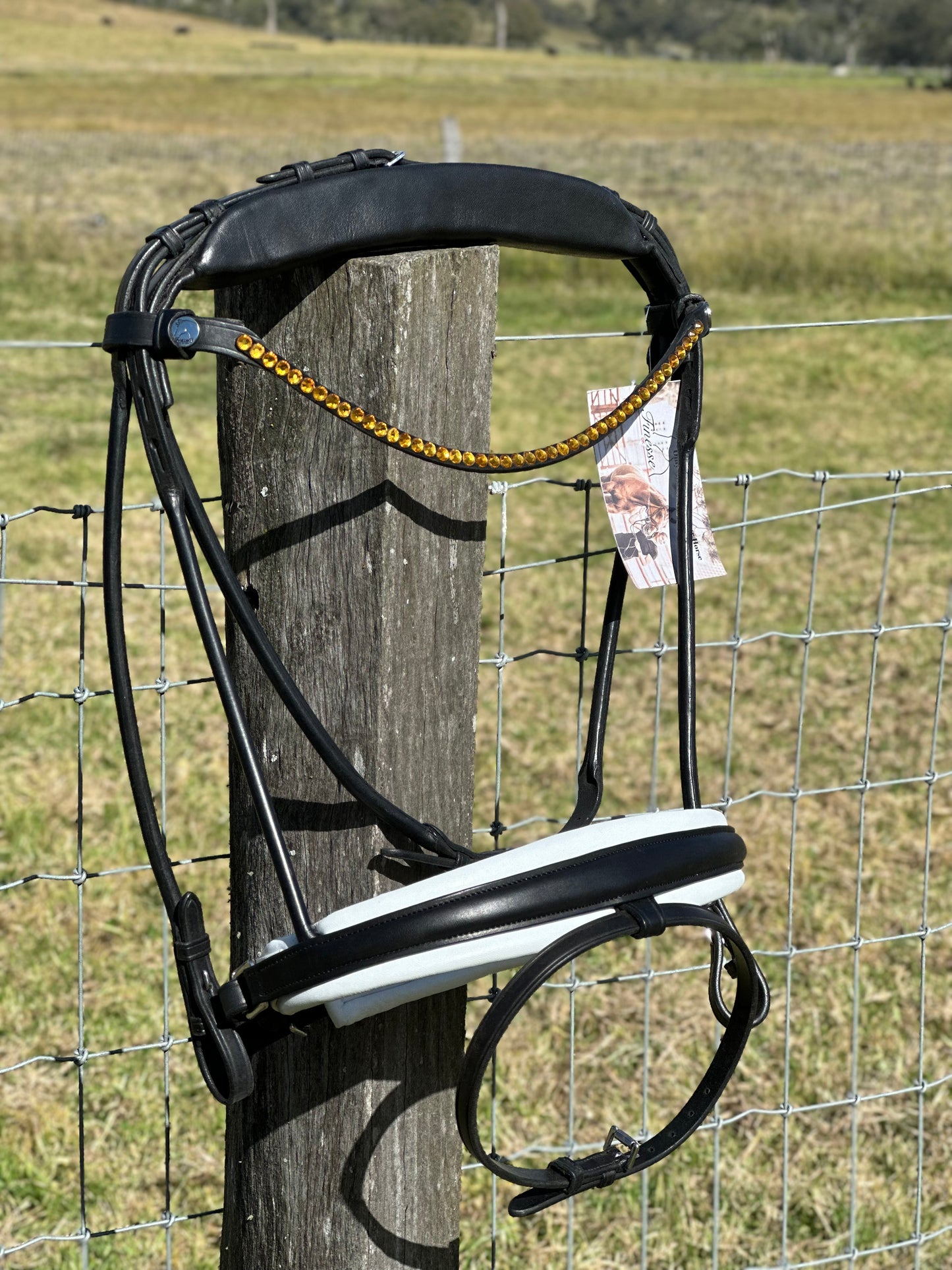 Finesse Cassidy Bridle Special Package - Orange