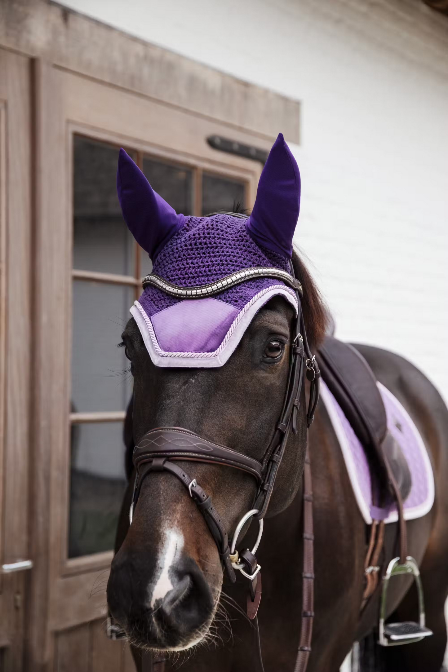 Kentucky Wellington Fly Veil: Royal Purple Velvet Contrast: Full Size