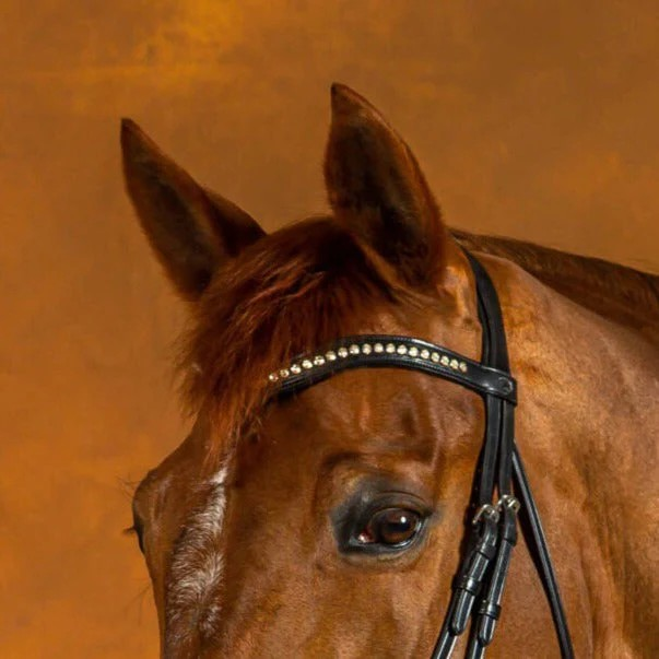 Dy'on Black Leather Full Swarovski Crystal Browband | Full Black