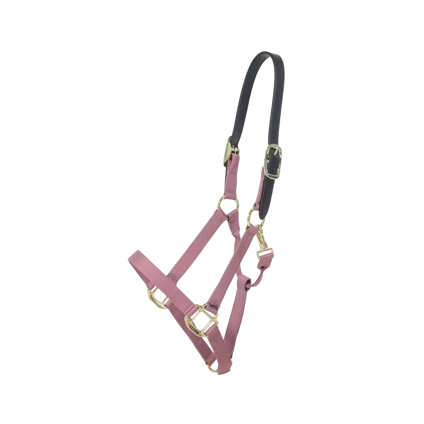 Kentucky Nylon Breakaway Halter | Choose Colour