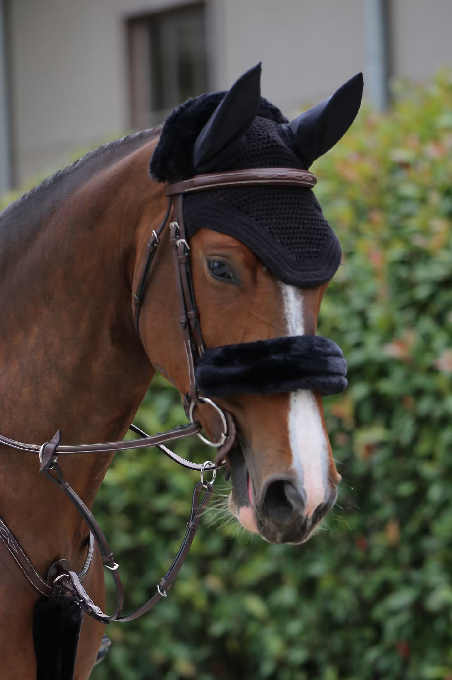 Kentucky Faux Sheepskin Noseband Cover | Choose Colour