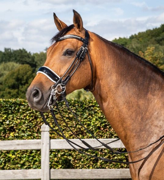 Dy'on Dressage Collection Rolled Leather Double Bridle