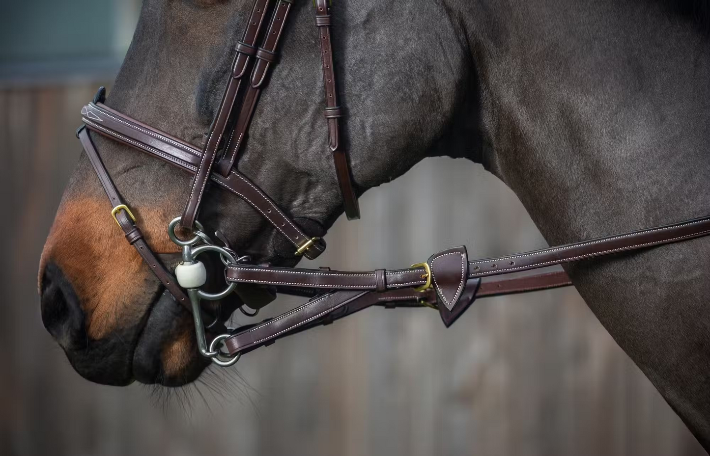 Dy'on D Collection 1/2" Rubber Converter Reins