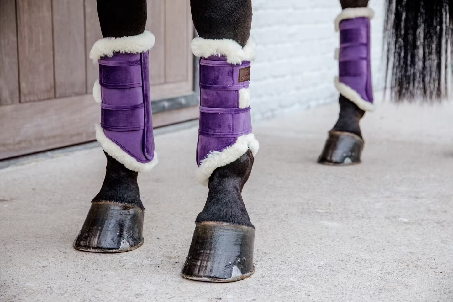 Kentucky Brushing Boots: Velvet Contrast Royal Purple SET of FOUR
